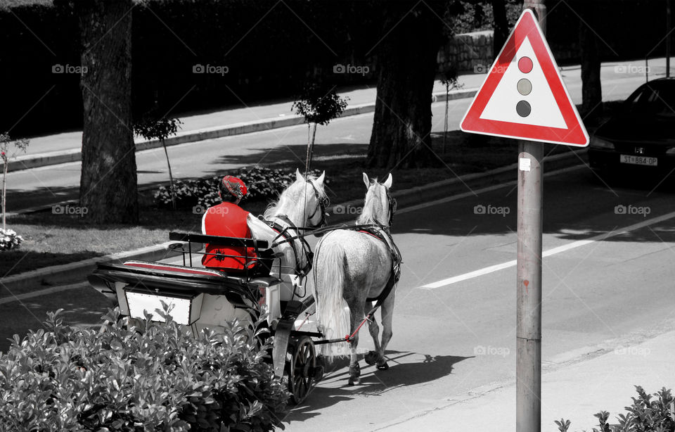 Horses on the road - red color effect