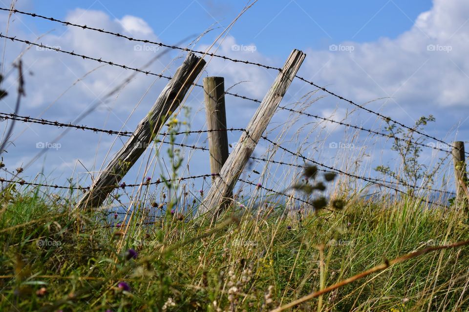 Countryside Fence