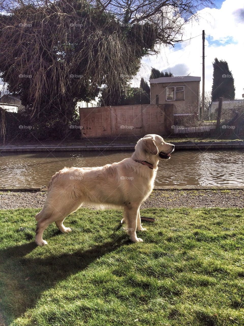Zoe proudly standing on her own 