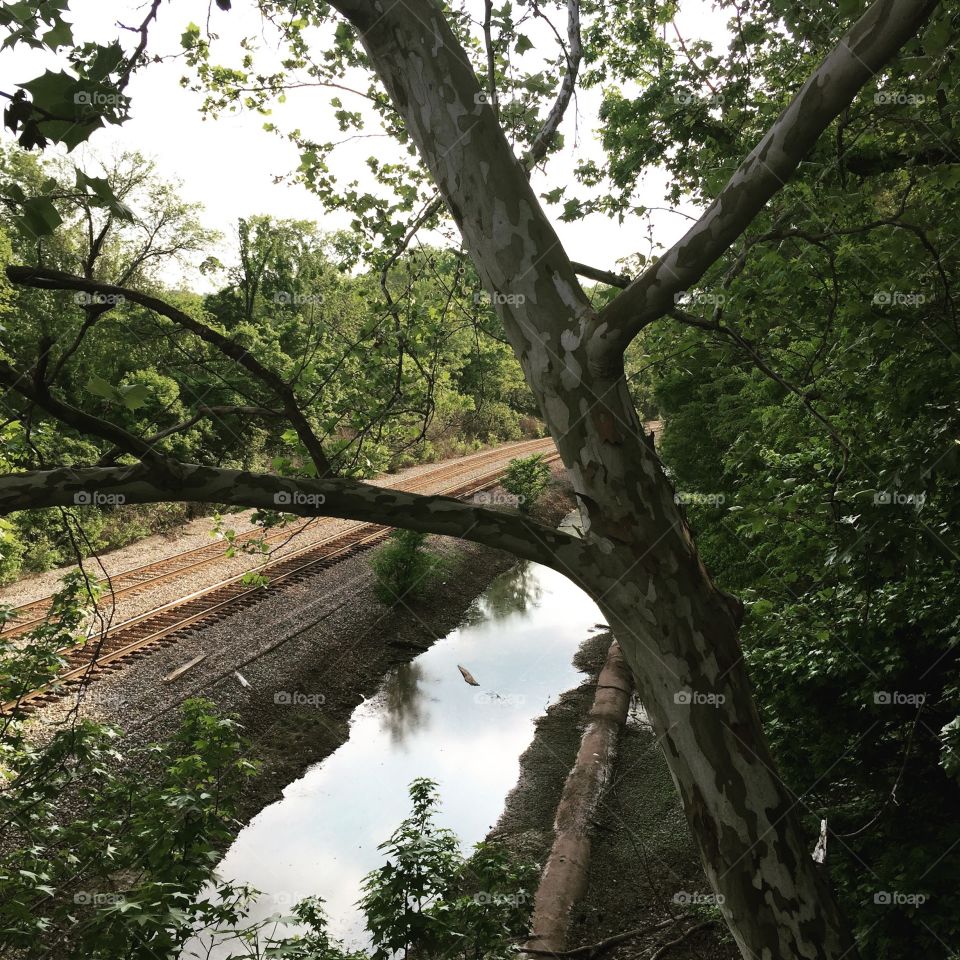 Richmond Railroad . Taken from a footbridge in Richmond, VA.