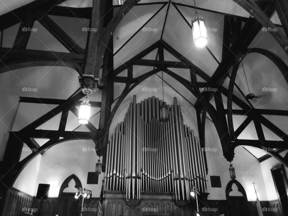 Pipe Organ