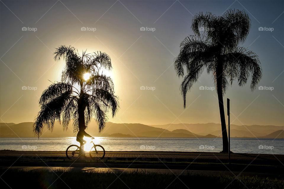 Bicycle at sunset