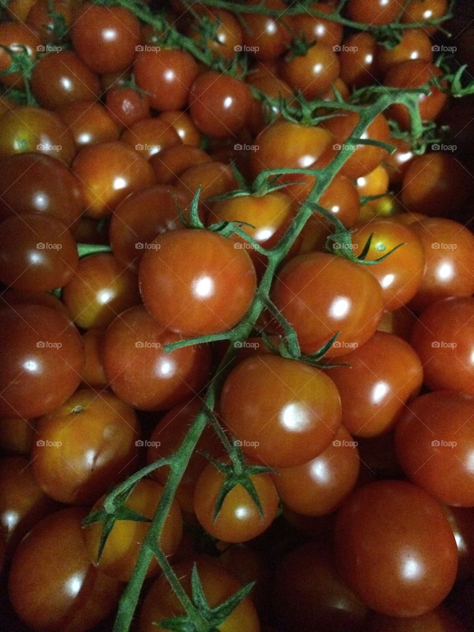 Tomato. Cherry tomato