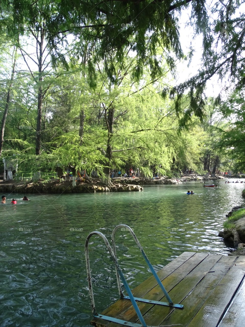 Public river where people go to swim in Mexico. Beautiful trees and waters.