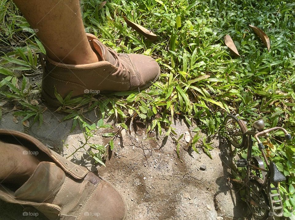 In the world of liliput