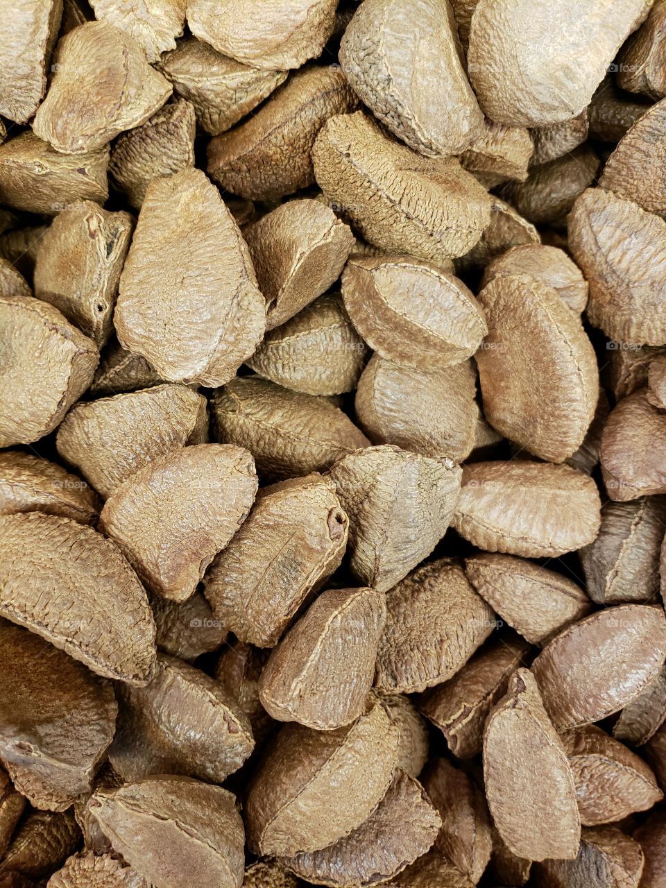 Closeup of details and texture of a pile of  Brazil nuts in their shells at the local market