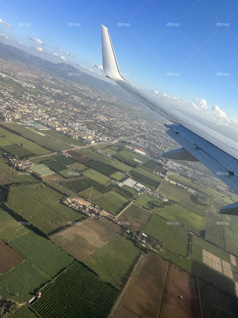 In the sky of Algiers