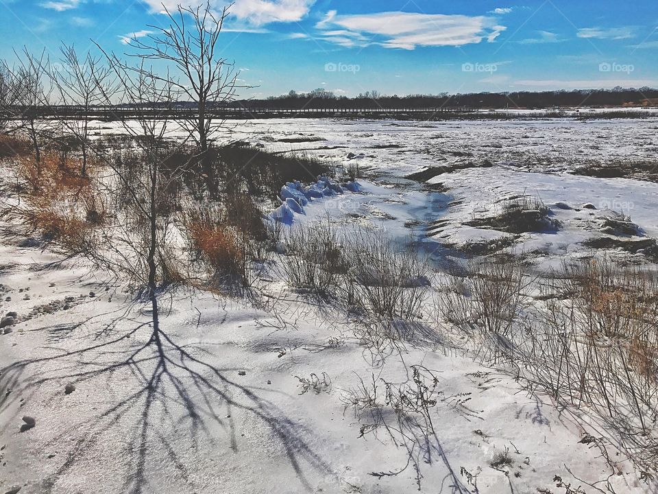 Frozen landscape...