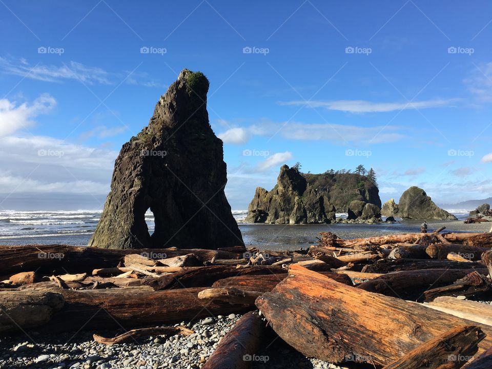 Driftwood and cliffs at sea