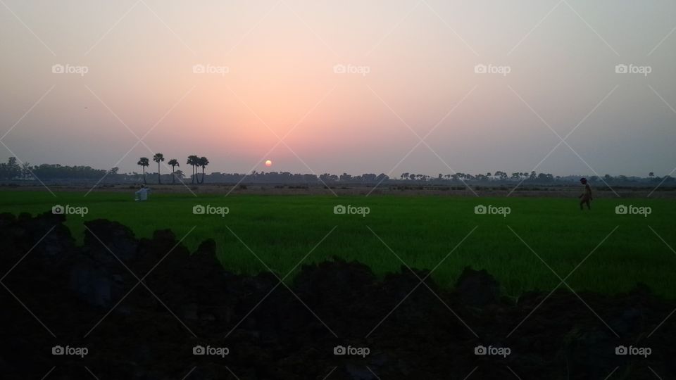 sunset in rural area