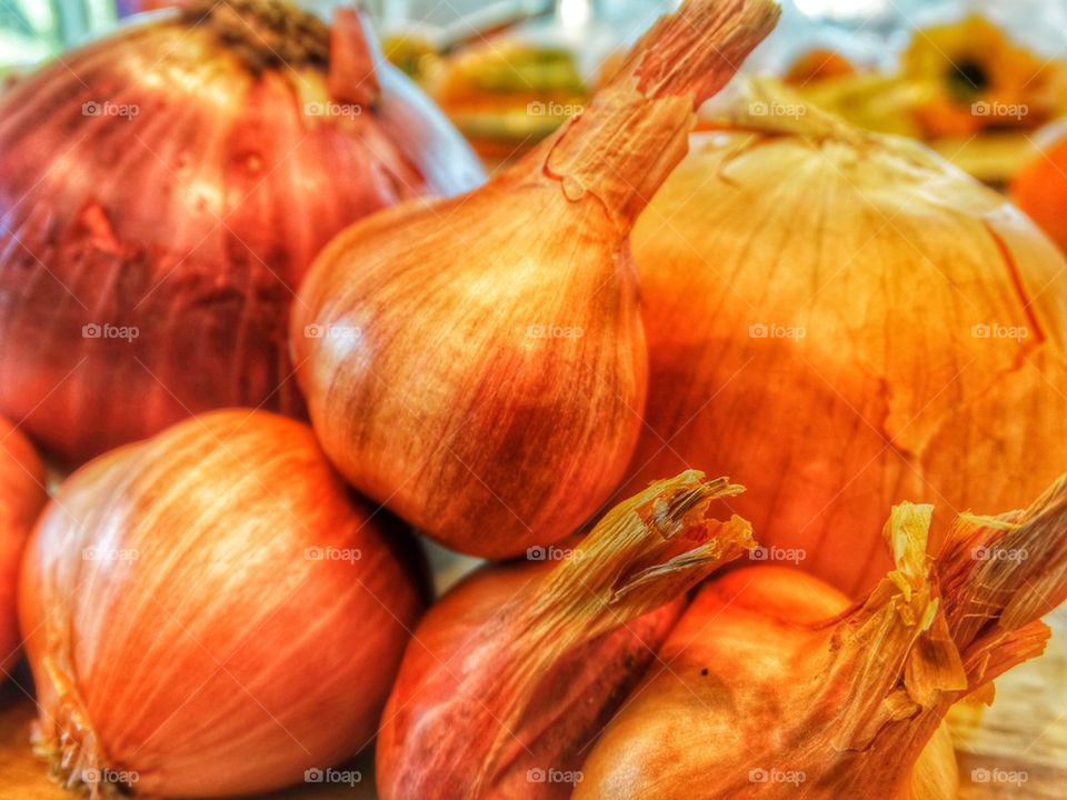 Fresh Yellow Onions