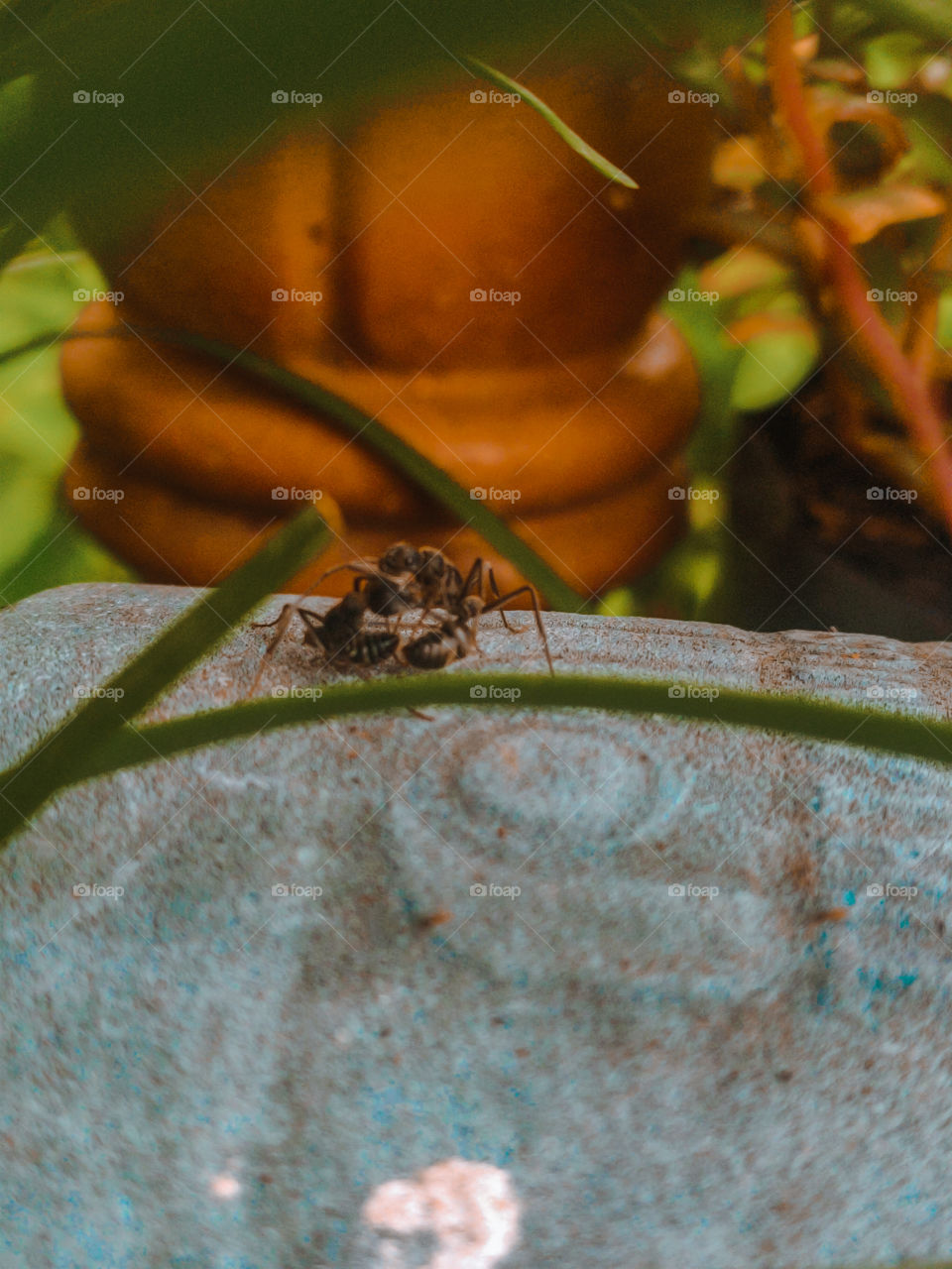 the two black beasts hugging