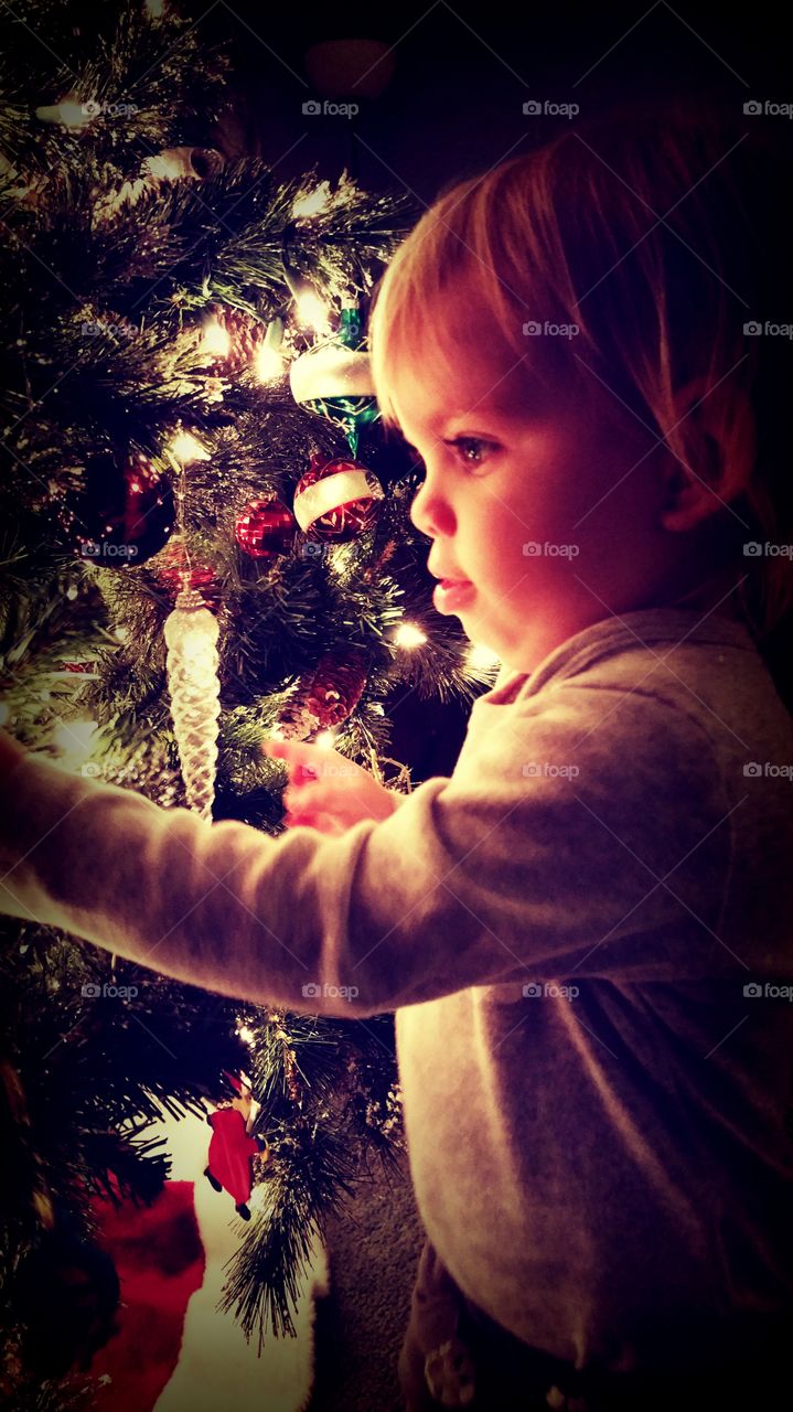 baby's first look of Christmas tree. baby's first year of discovering Christmas tree