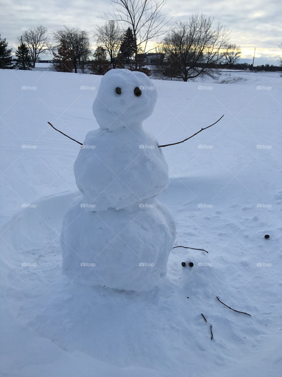 Snowman and snowdog