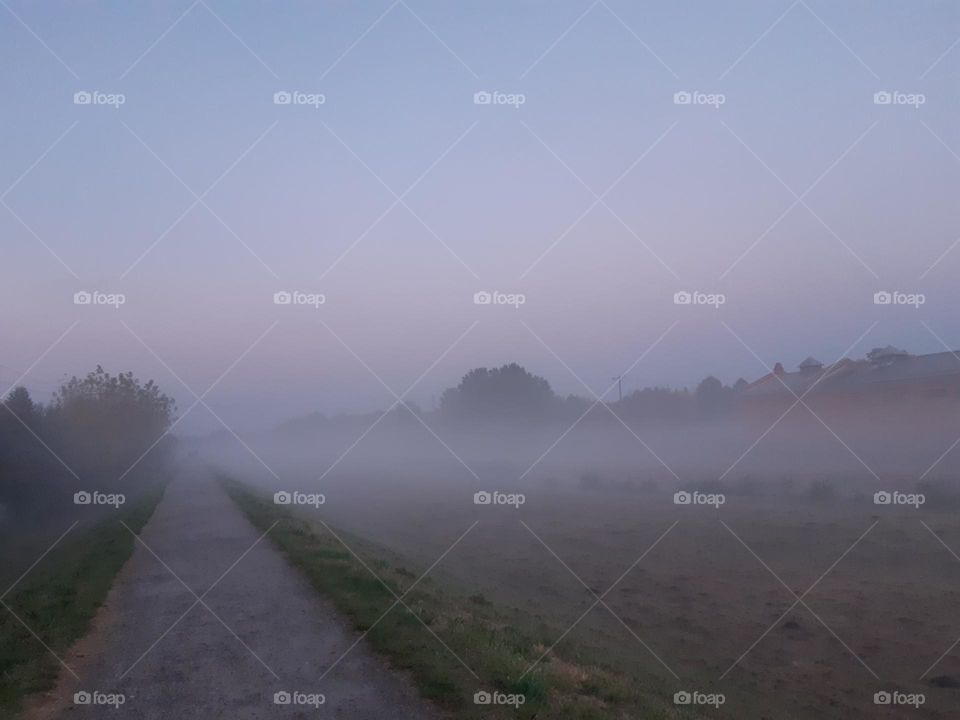 big fog light with tree during sunset in autumn