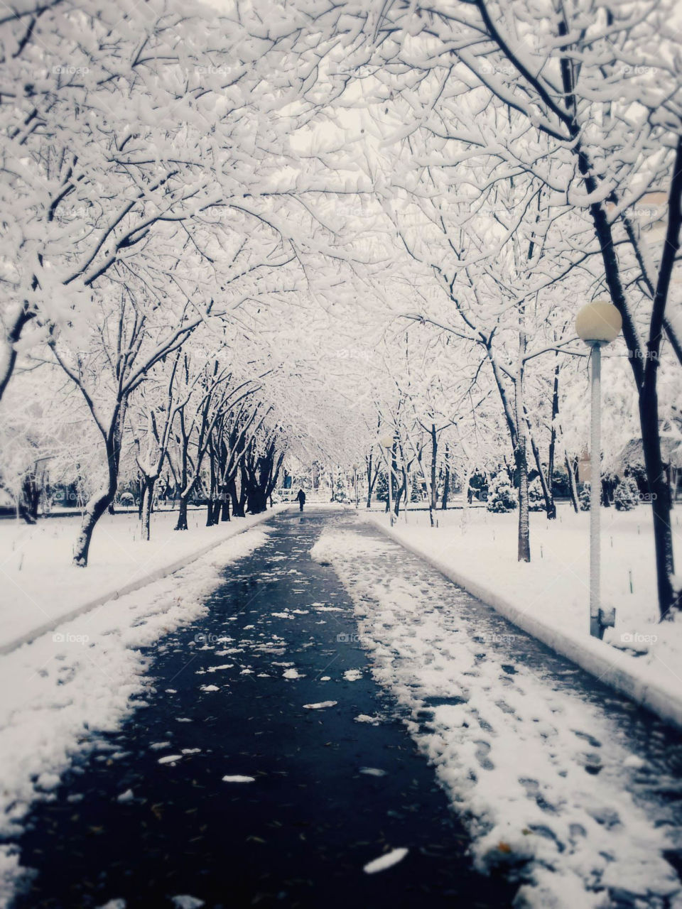 Taskent winter