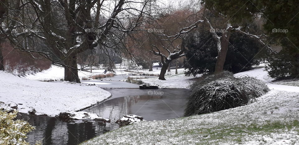 cours d'eau au parc Barbieux