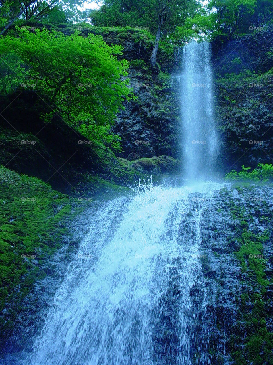 Oregon falls