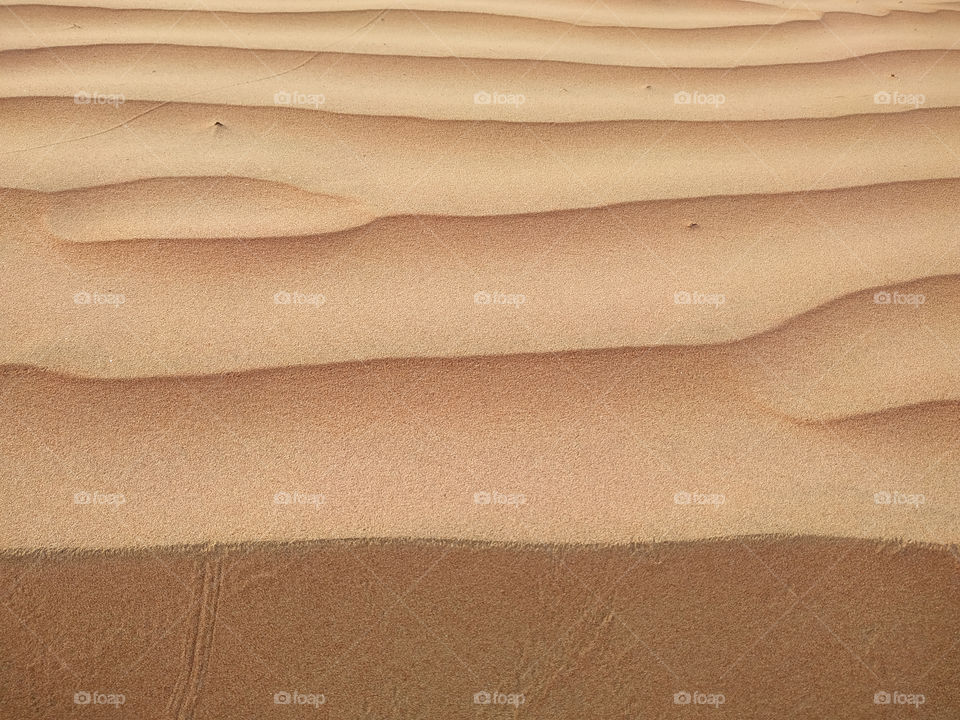 A closeup of sand dune texture