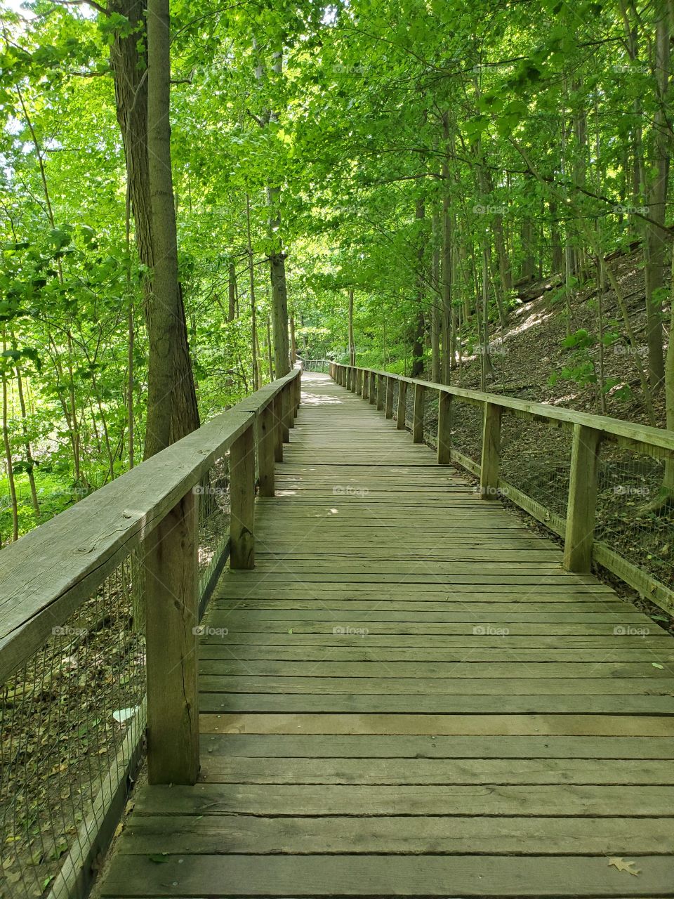 nature trail