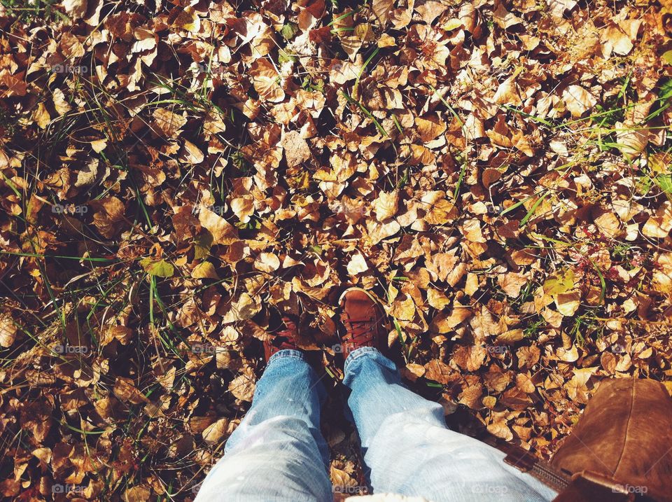 Standing in dry leaves