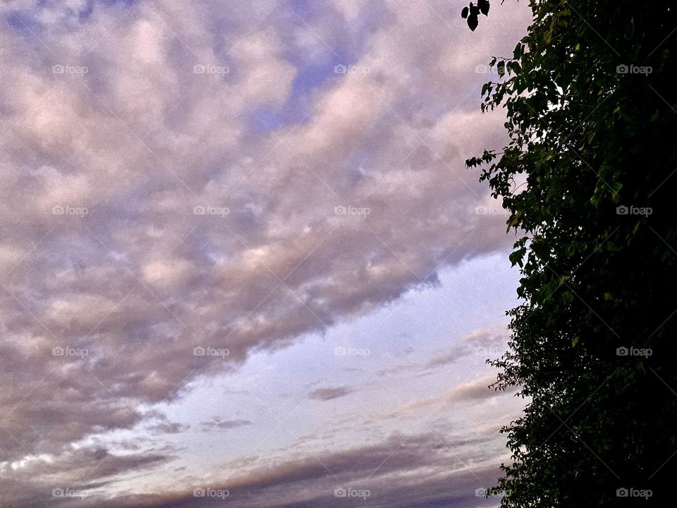 🌄🇺🇸 An extremely beautiful dawn in Jundiaí, interior of Brazil. Cheer the nature! / 🇧🇷 Um amanhecer extremamente bonito em Jundiaí, interior do Brasil. Viva a natureza! 
