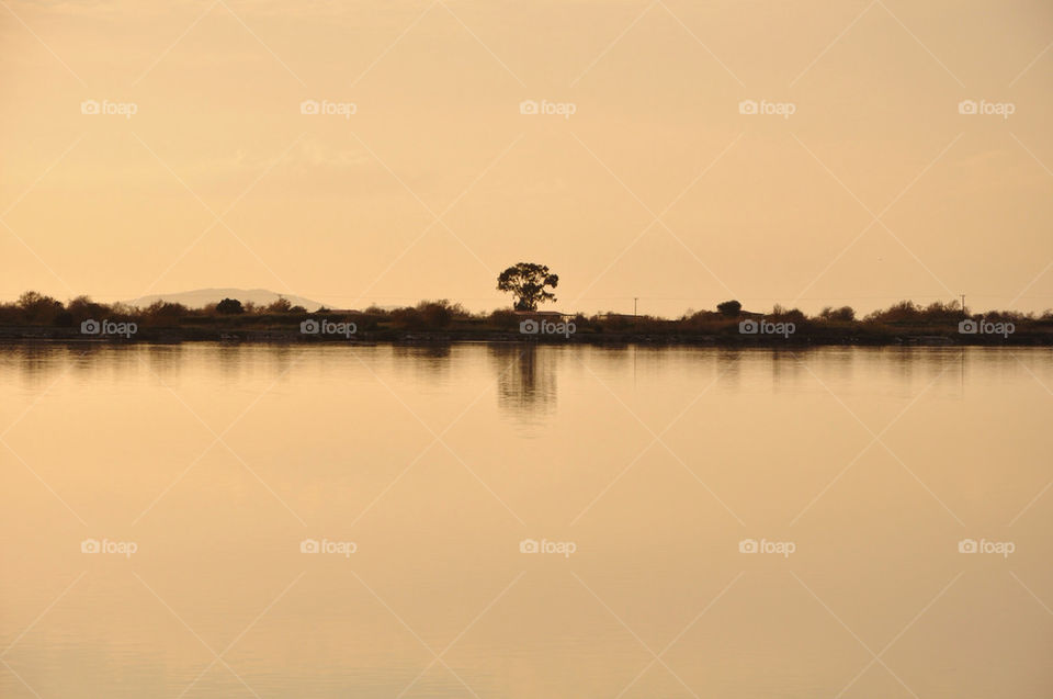 tree lake greece reflections by zlas