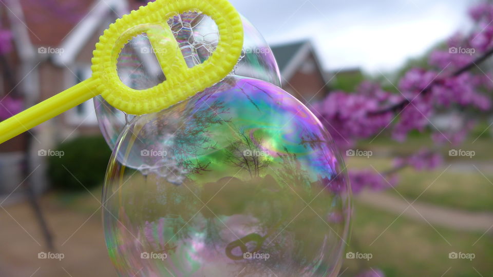 bubbles in front of flowering tree and house