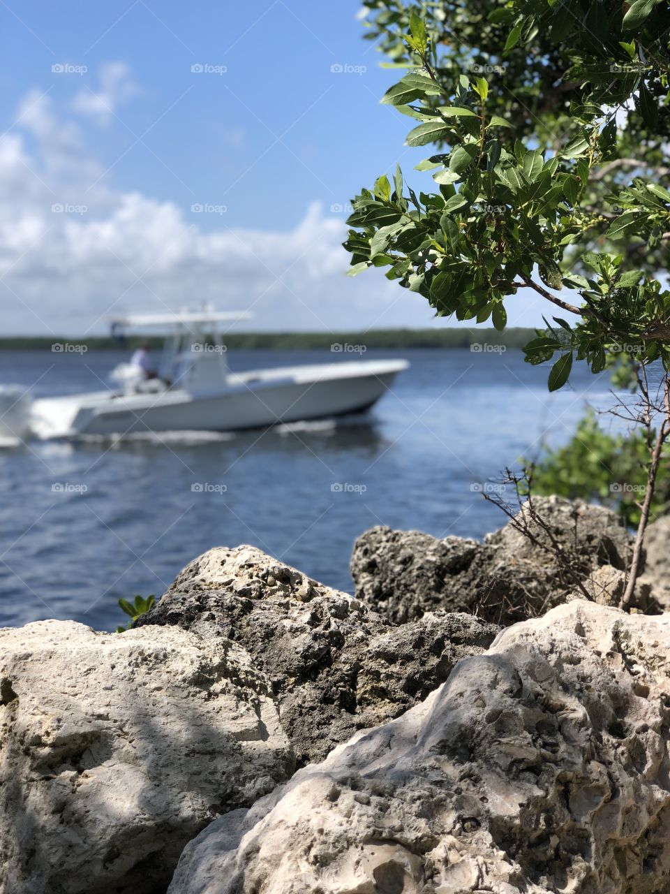 Boat in the background 