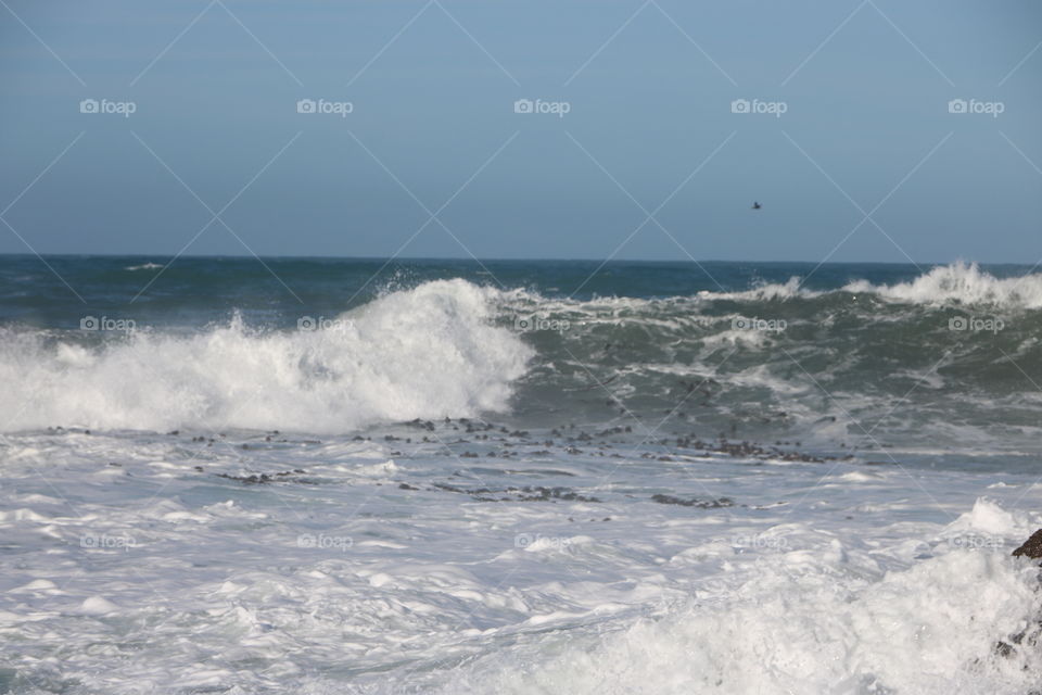 Water, Surf, Sea, No Person, Ocean