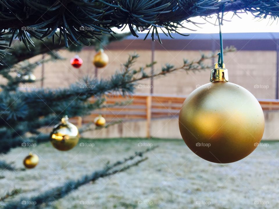 Ball, Christmas, Winter, Hanging, Gold