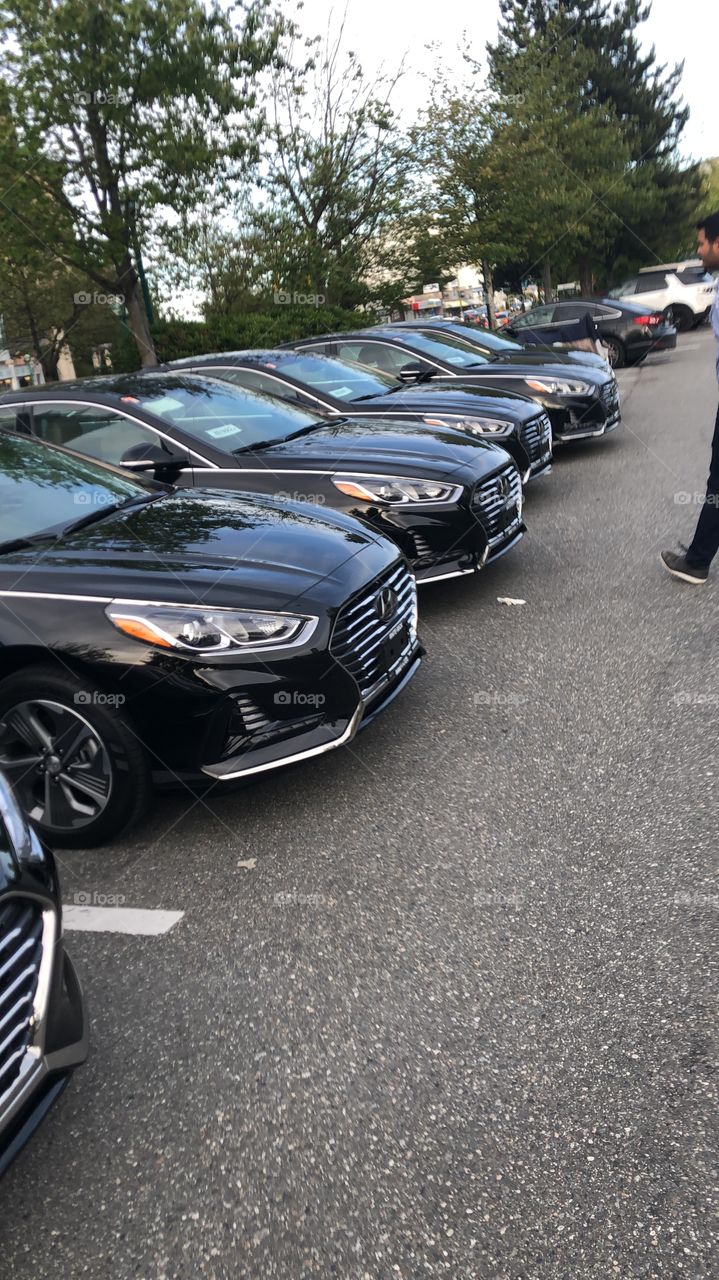 Fleet of Hyundai hybrid 