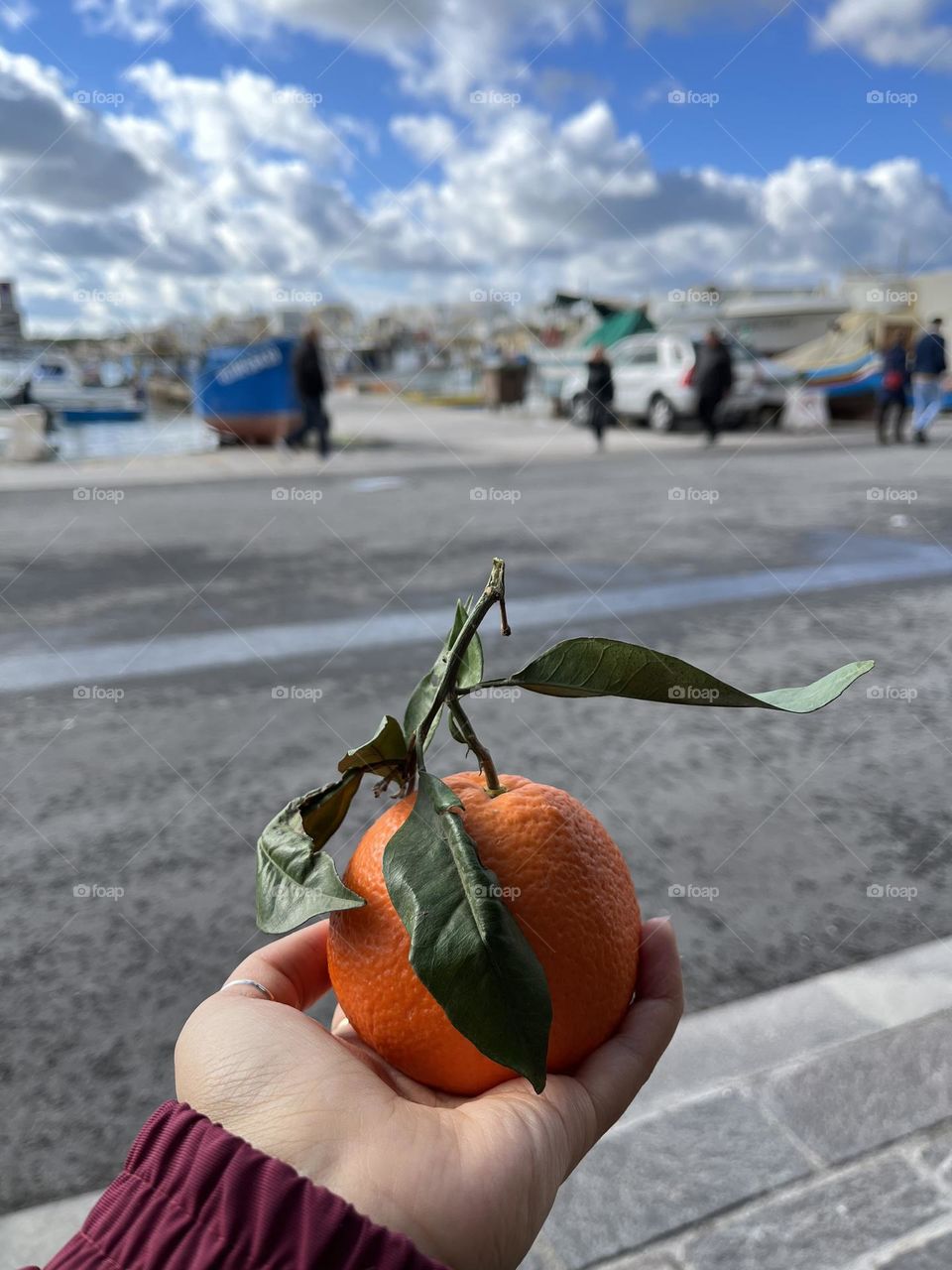 Orange fruit with beautiful leaves held in palm against beauty boat and cloudy background 