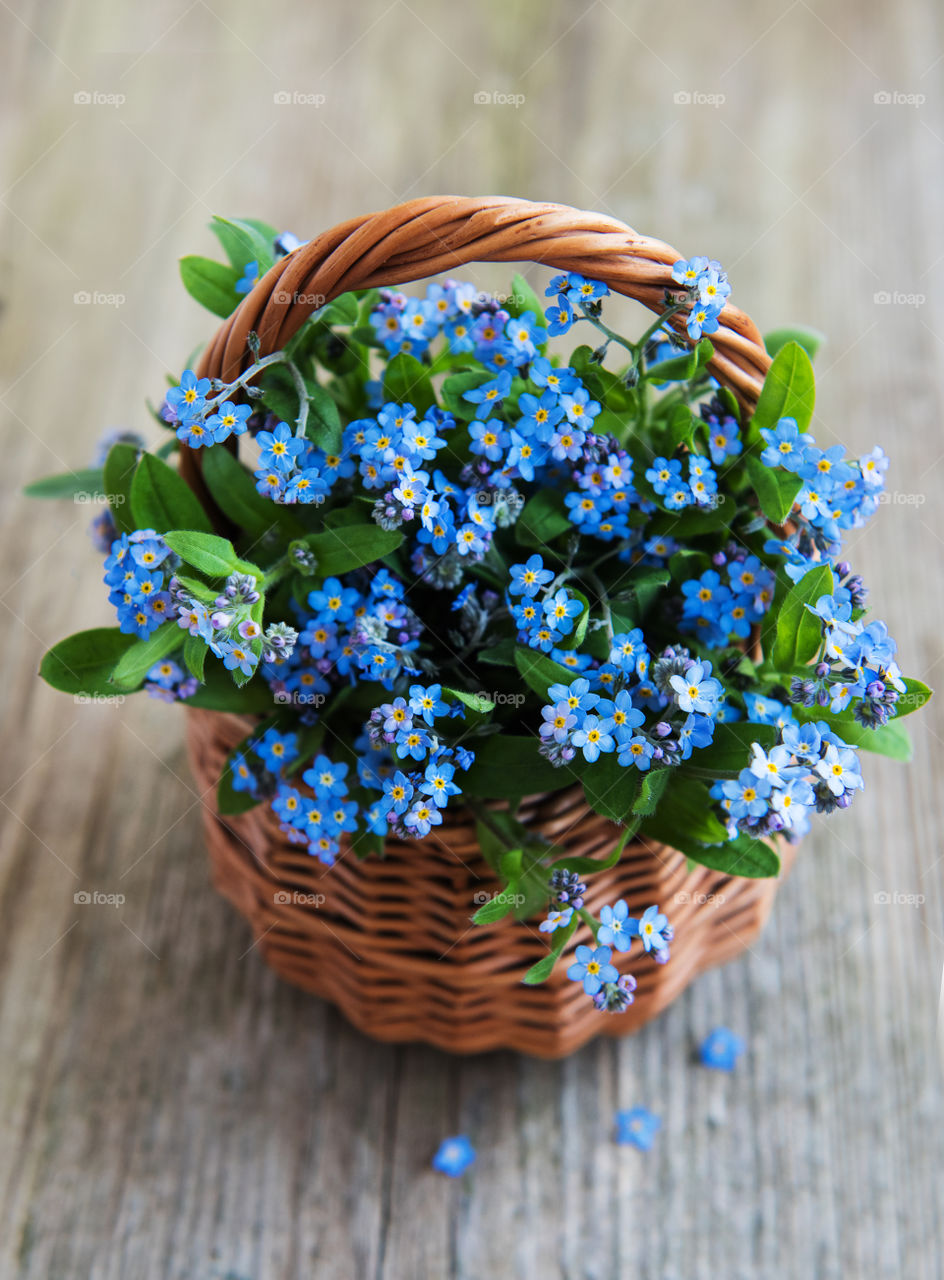 Forget me not 