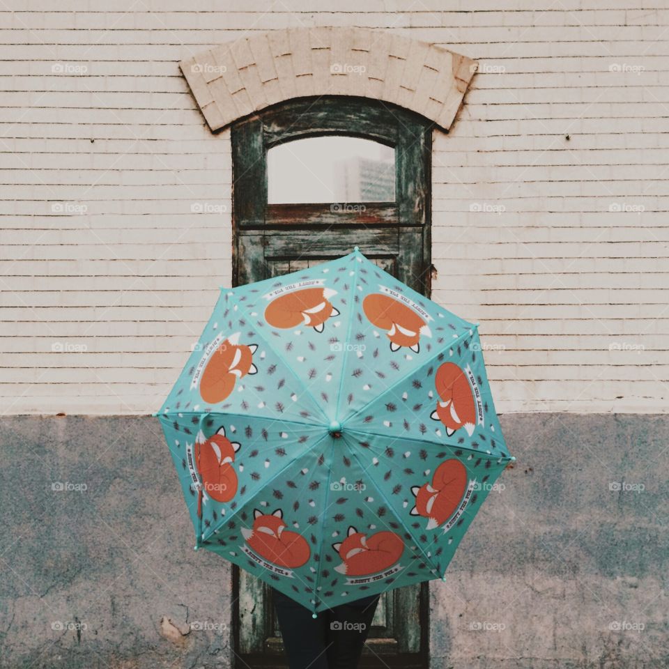Umbrella with foxes