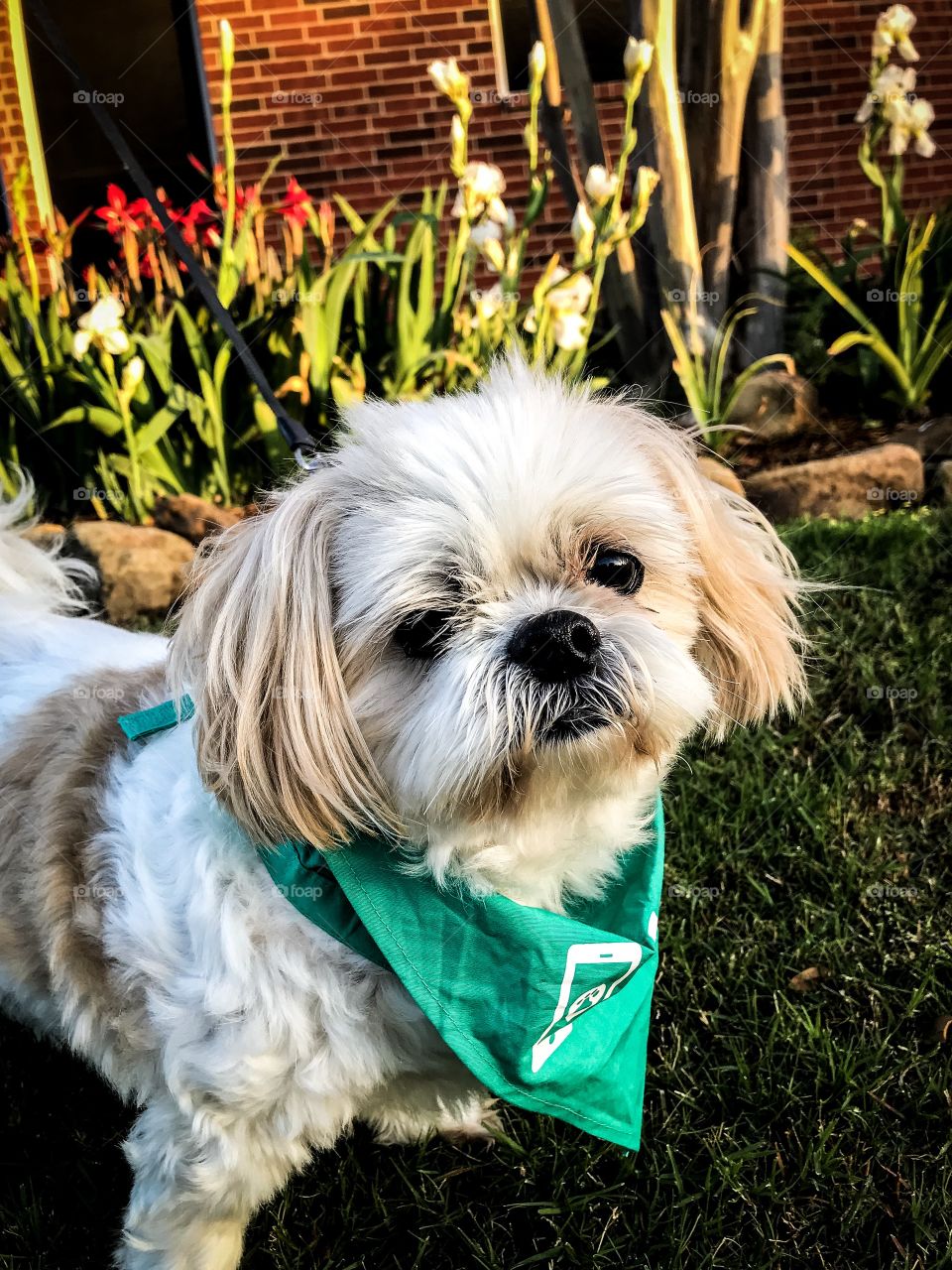 Does this make my face look big