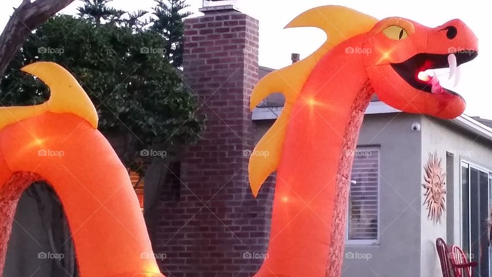 Big Orange Dragon
