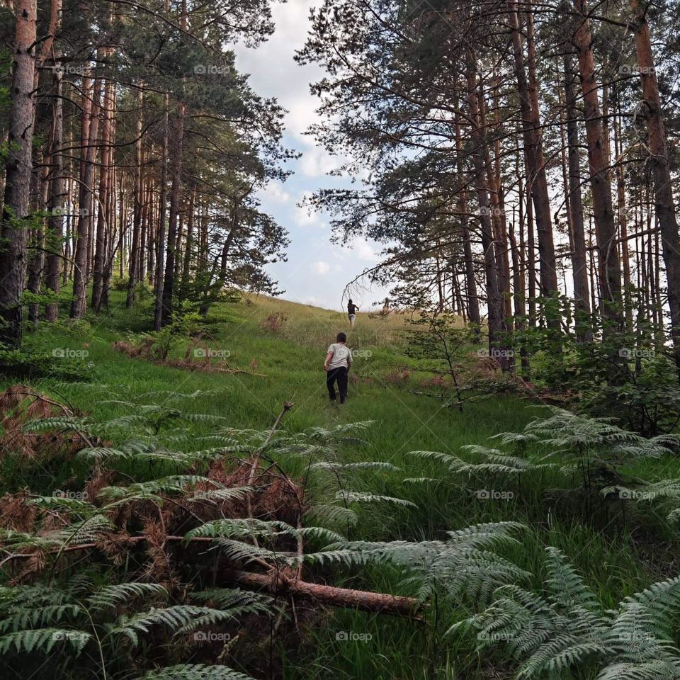 The best photo of july