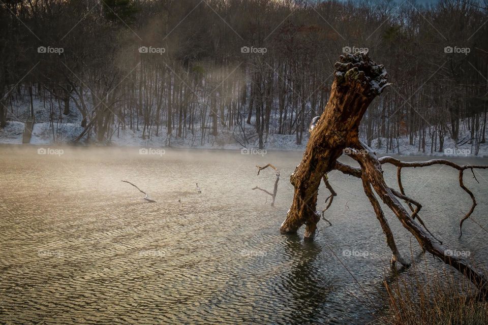 Punxsutawney Phil said more winter. So, here’s to more snow and ice. 