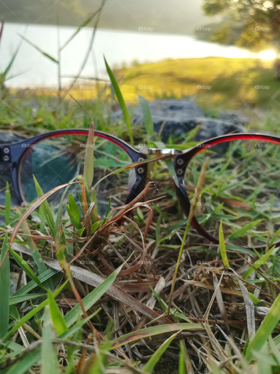 glasses & grass