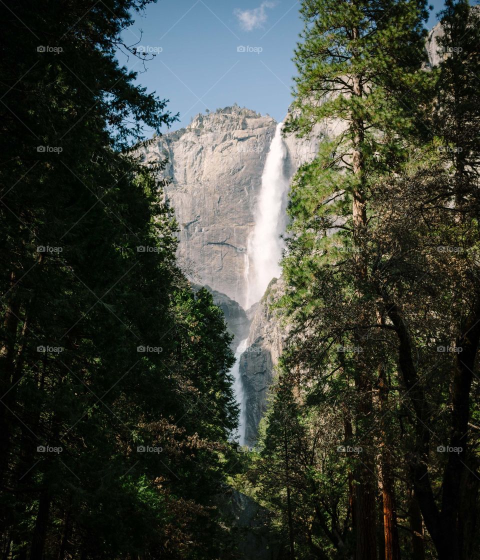 waterfall-through-trees