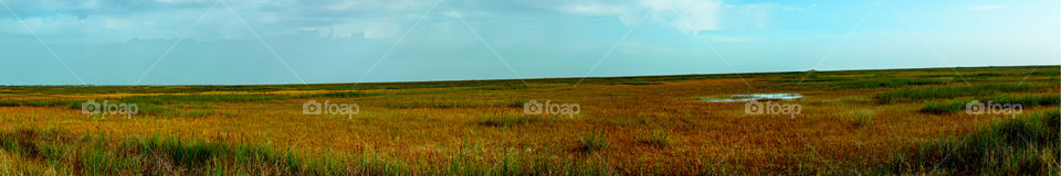 panoramic of Everglades