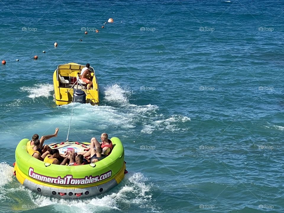 Funny moment in the sea