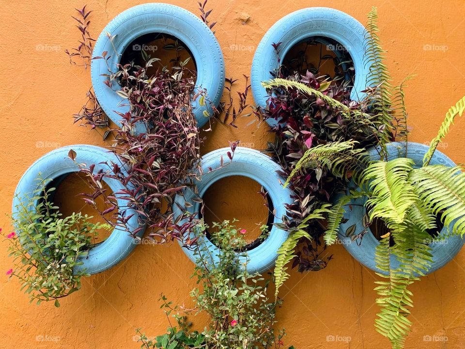 Plant decoration on car tire