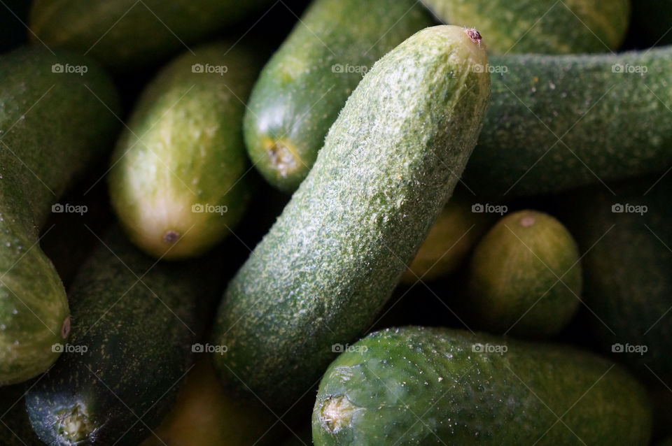 green food makro cucumbers by lexlebeur