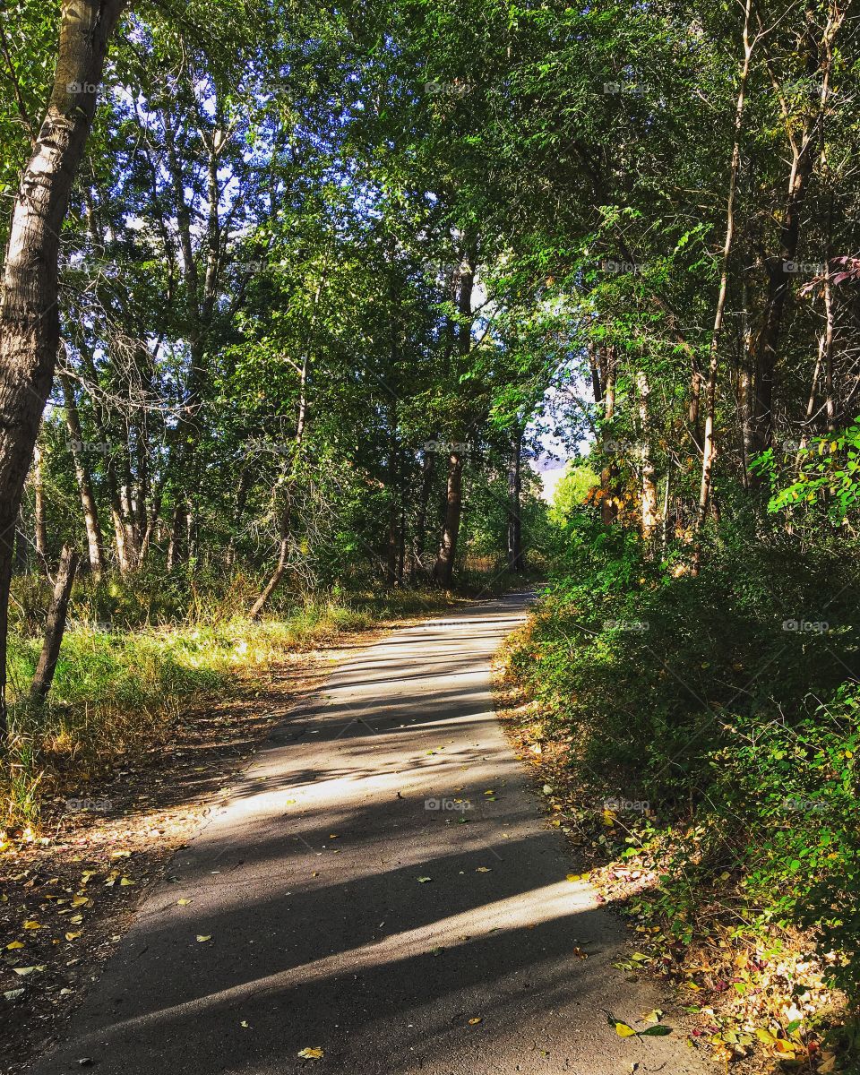 Summer walk in the park! 