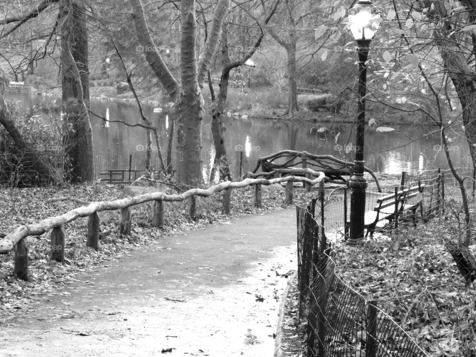 Quiet Trail. Walking path in Central Park. 