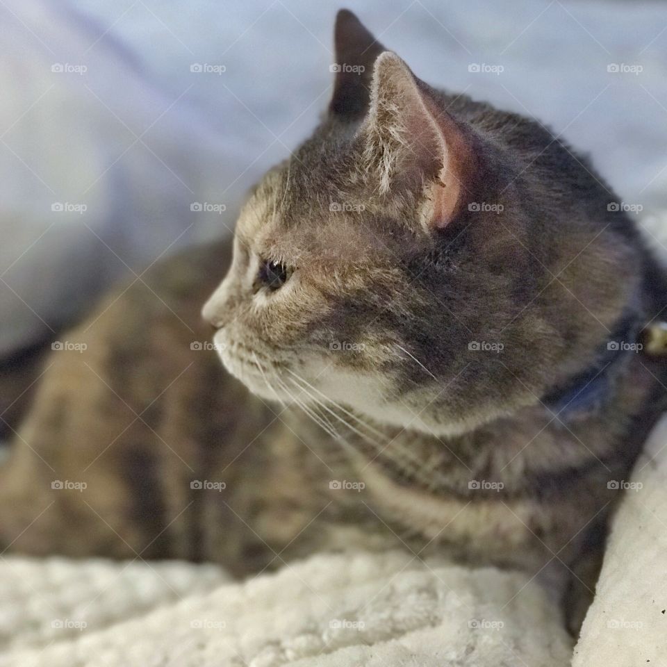 Ilene getting cozy and snug!