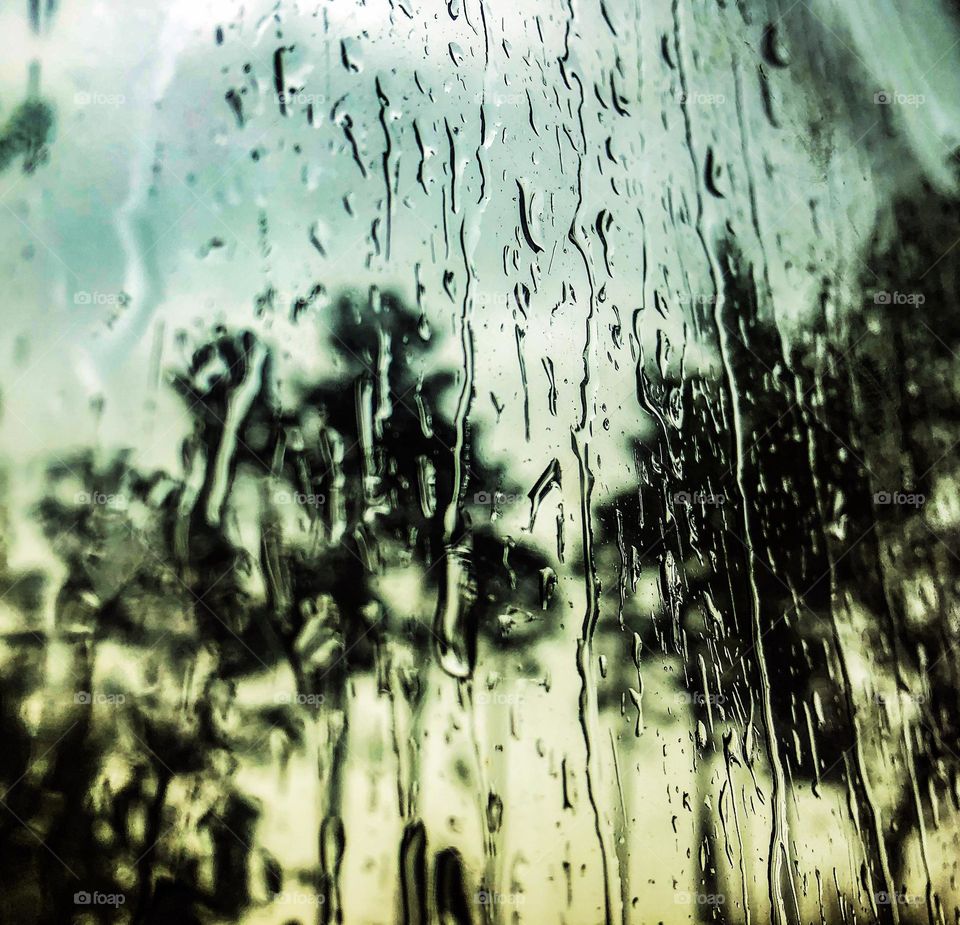 Rain pouring down a window, with distorted reflections of trees