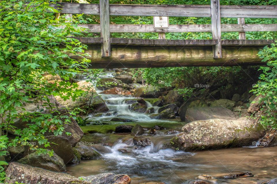 Bridge at Amicolola Falls State Park